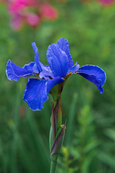 Similar image 21754498