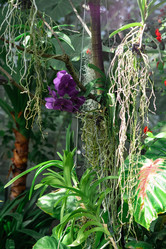 Similar image 21754499