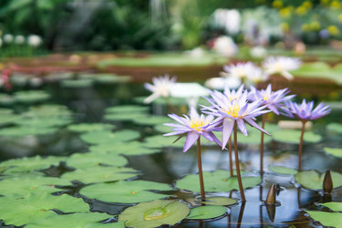 Similar image 21754697