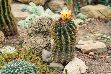 Similar image 21754952