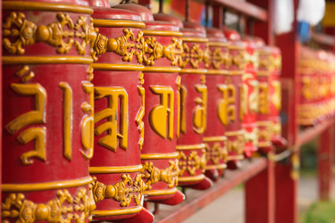 Similar image 21754953