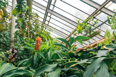 Similar image 21754955