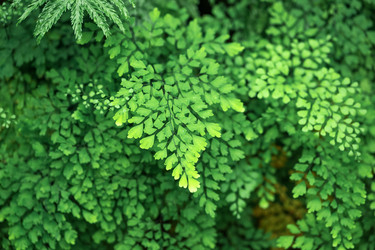 Similar image 21755303