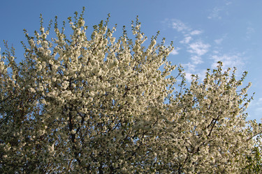 Similar image 21760331