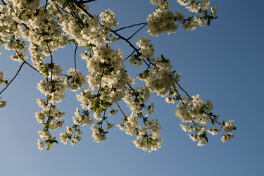 Similar image 21760332