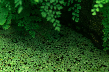 Similar image 21755556