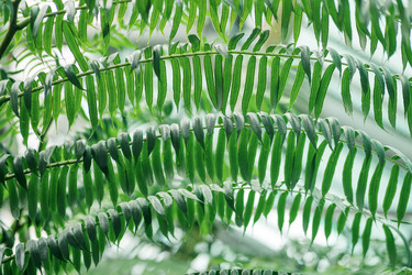 Similar image 21755559