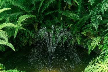 Similar image 21755562