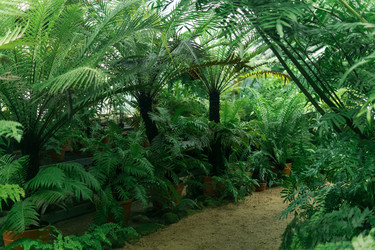 Similar image 21755739