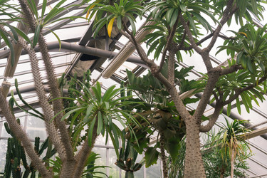 Similar image 21755740