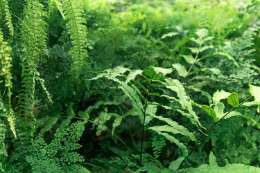 Similar image 21755747