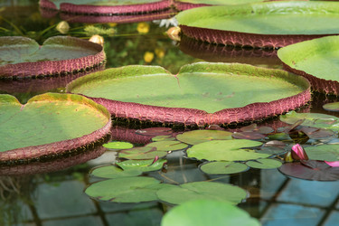 Similar image 21755935