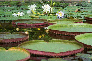 Similar image 21755936