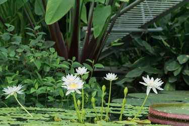 Similar image 21755939