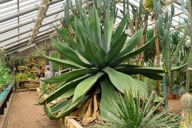 Similar image 21755941