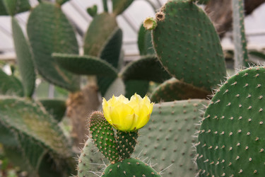 Similar image 21755943