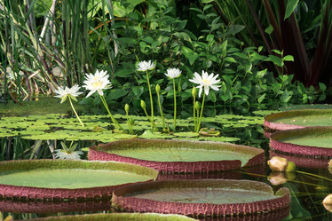 Similar image 21755944