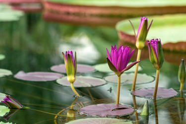 Similar image 21756145