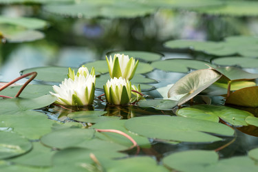 Similar image 21756148