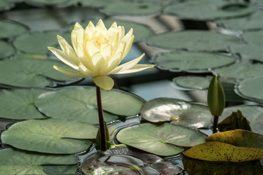 Similar image 21756150