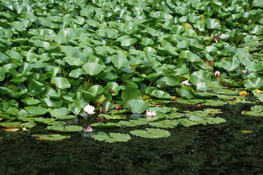 Similar image 21756152