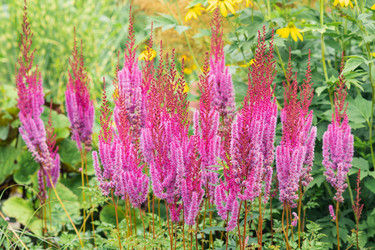 Similar image 21756340