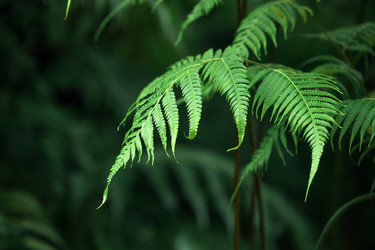 Similar image 21756347