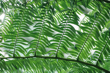 Similar image 21756515