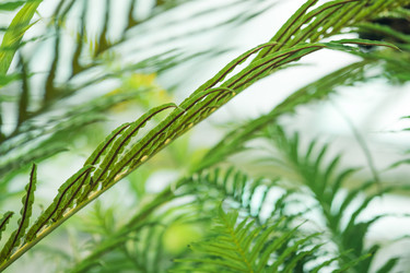 Similar image 21756517