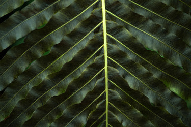 Similar image 21756518