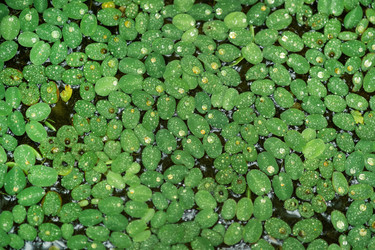 Similar image 21756523