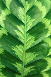 Similar image 21751772