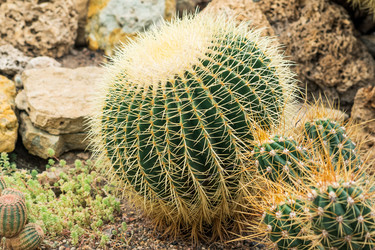 Similar image 21751935