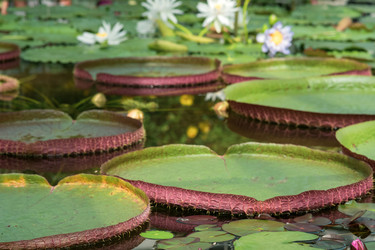 Similar image 21751937