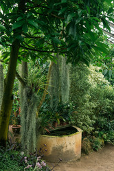 Similar image 21752242