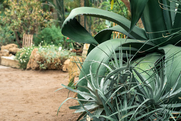 Similar image 21752452