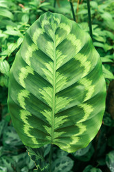 Similar image 21752453