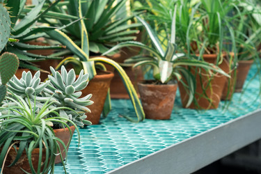 Similar image 21752454