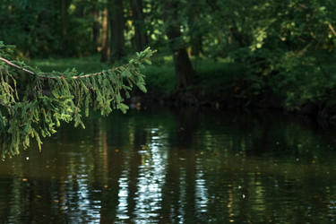 Similar image 21752475