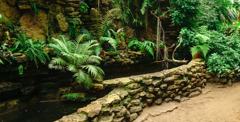 Similar image 21753261