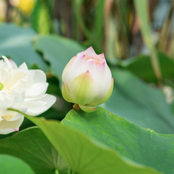 Similar image 21753263