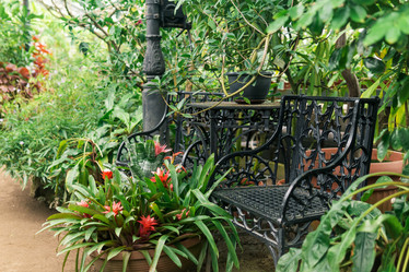 Similar image 21753893