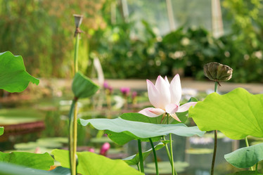 Similar image 21754091