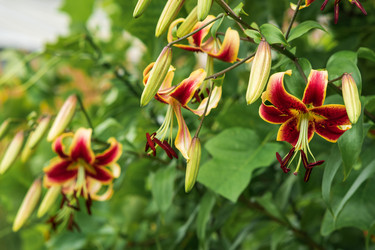 Similar image 21755117