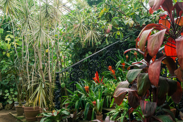 Similar image 21755118