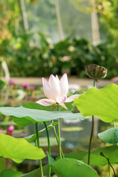 Similar image 21755311