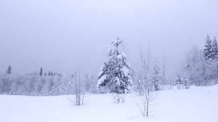 Similar image 21753436