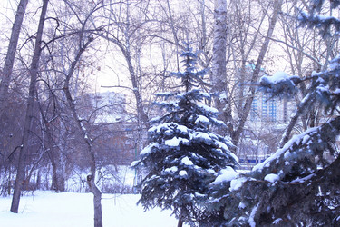 Similar image 21762897