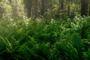 Similar image 21755565