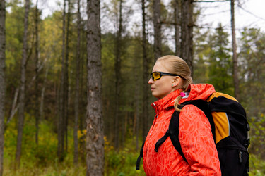 Similar image 21753684